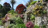 Tresco Abbey Gardens, The Isles of Scilly